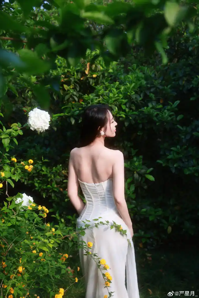 根证书安全示意图